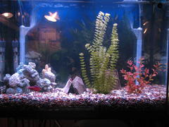 Port Angeles 006.jpg